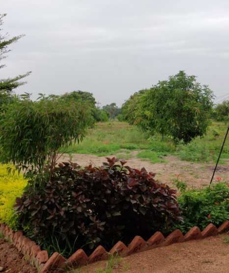  Agricultural Land 300 Sq. Yards for Sale in Yadagirigutta, Hyderabad