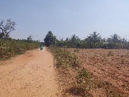  Agricultural Land for Sale in Sira, Tumkur
