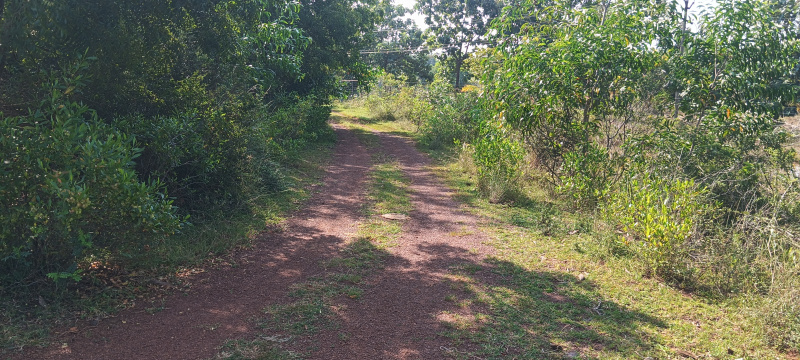  7 Acre Agricultural/Farm Land for Sale in Uthukkottai, Thiruvallur
