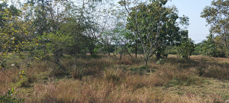  7 Acre Agricultural/Farm Land for Sale in Uthukkottai, Thiruvallur