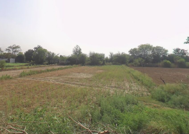  9000 Sq. Yards Industrial Land for Sale in Bahadurgarh, Jhajjar