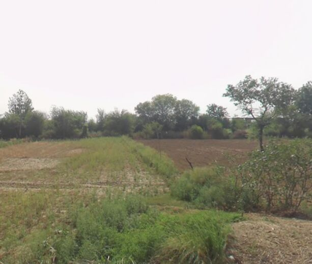  9000 Sq. Yards Industrial Land for Sale in Bahadurgarh, Jhajjar