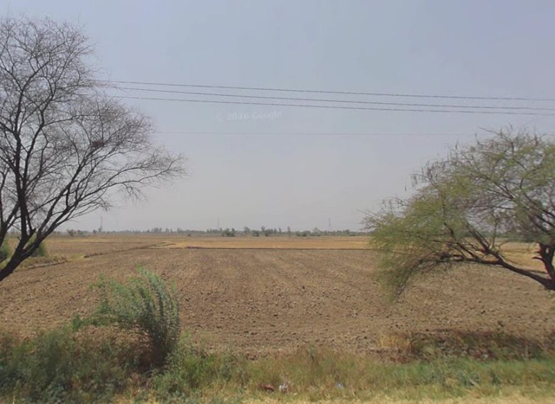  6 Acre Commercial Land for Sale in Bahadurgarh Bypass