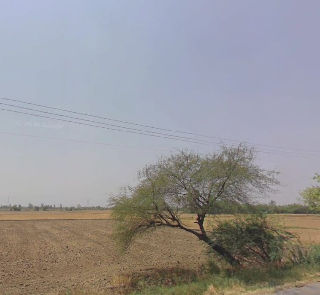  6 Acre Commercial Land for Sale in Bahadurgarh Bypass