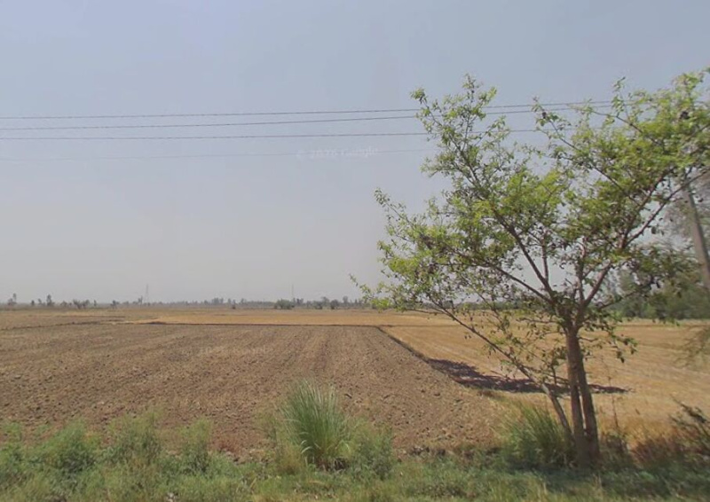  500 Sq. Yards Industrial Land for Sale in Surya Nagar, Bahadurgarh