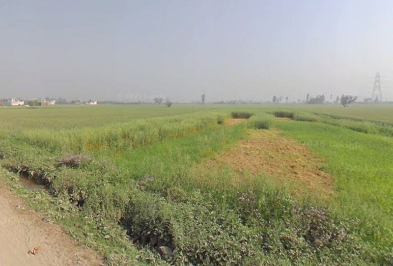  1800 Sq. Yards Industrial Land for Sale in Bahadurgarh Bypass