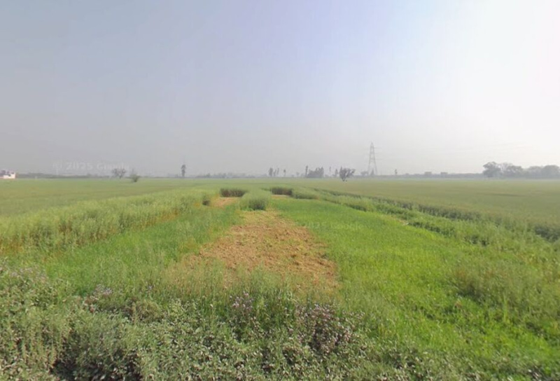  1800 Sq. Yards Industrial Land for Sale in Bahadurgarh Bypass