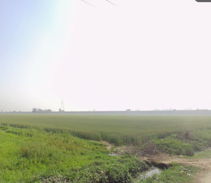  1800 Sq. Yards Industrial Land for Sale in Bahadurgarh Bypass