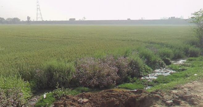  10 Acre Industrial Land for Sale in Hansi, Hisar