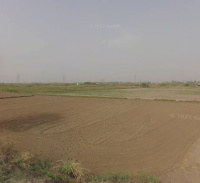  Industrial Land for Sale in Sonepat Road, Rohtak