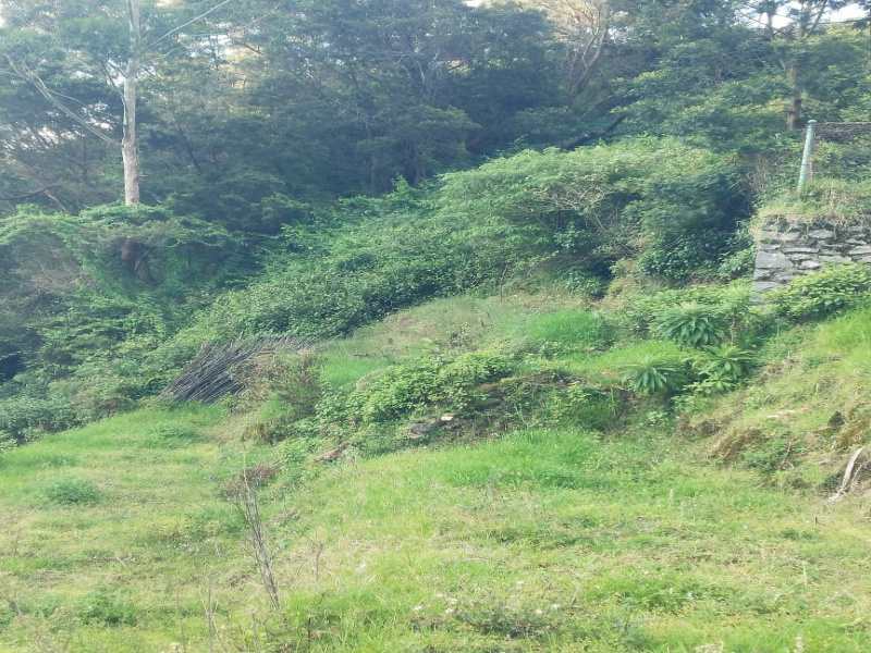  Residential Plot 15967 Sq.ft. for Sale in Vilpatti, Kodaikanal