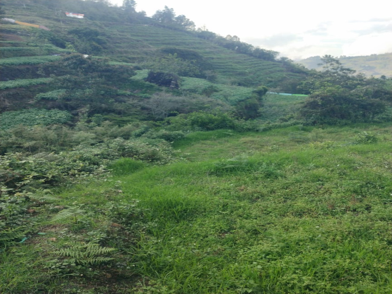  65 Acre Agricultural/Farm Land for Sale in Cheranmadevi, Tirunelveli