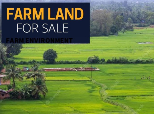  Residential Plot 2400 Sq. Yards for Sale in Bijwasan, Delhi