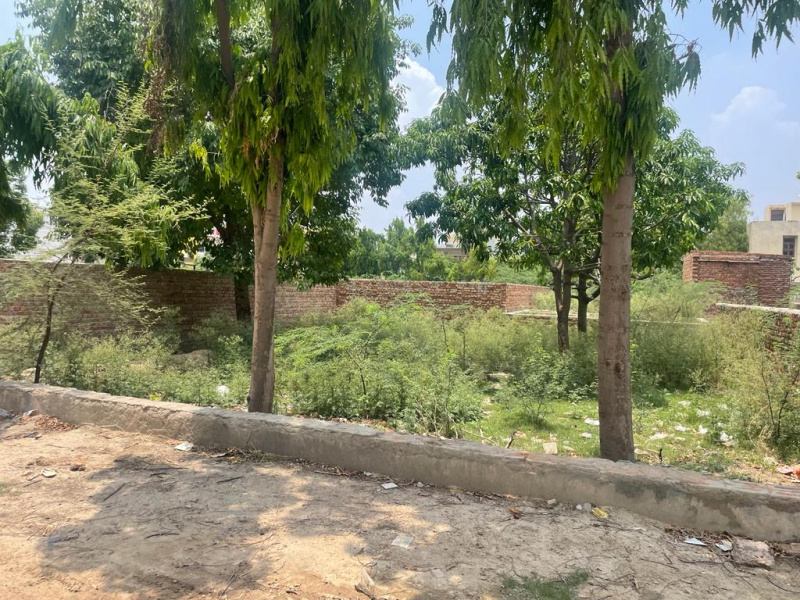  Residential Plot 50 Sq. Yards for Sale in New Palam Vihar, Gurgaon