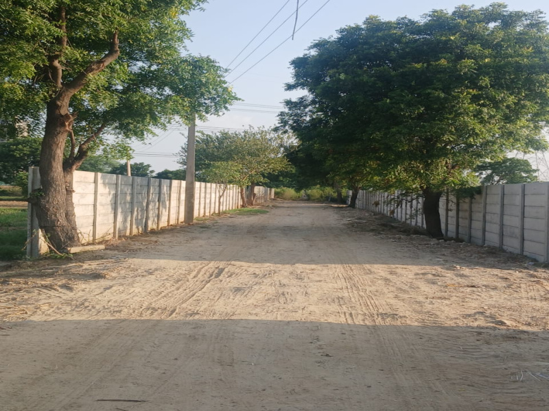  Residential Plot 1492 Sq. Yards for Sale in Dwarka Expressway, Gurgaon