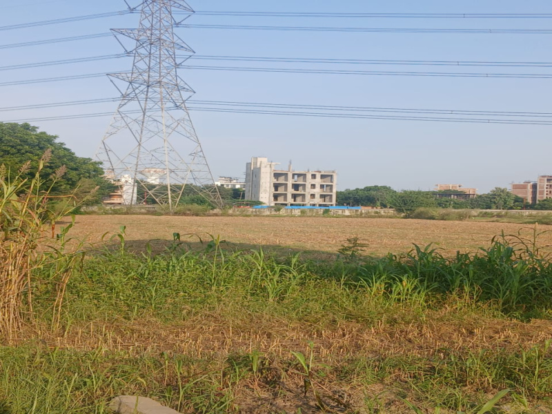  Residential Plot 1613 Sq. Yards for Sale in Dwarka Expressway, Gurgaon