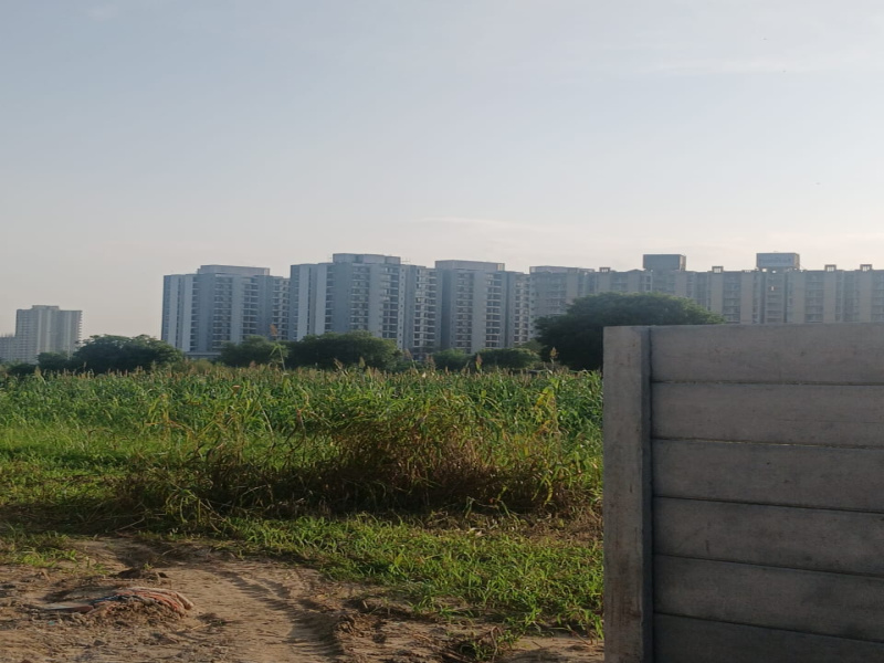  Residential Plot 1613 Sq. Yards for Sale in Dwarka Expressway, Gurgaon