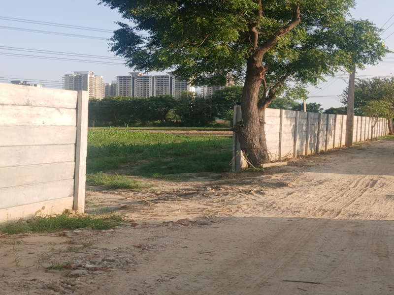 3 BHK Farm House 1212 Sq. Yards for Sale in Dwarka Expressway, Gurgaon