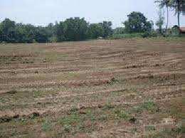  Residential Plot for Sale in Block H Palam Vihar, Gurgaon
