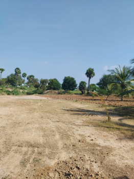  Agricultural Land for Sale in Karaikal, Pondicherry