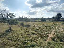  Agricultural Land for Sale in Gundlupet, Chamrajnagar