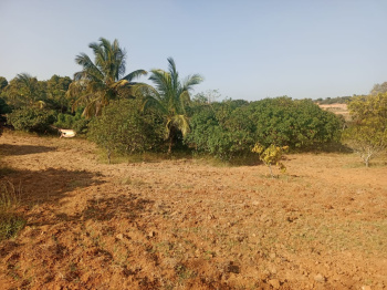  Industrial Land for Sale in Shoolagiri, Krishnagiri