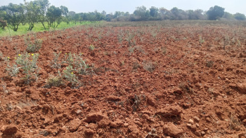  Agricultural Land for Sale in Srinivaspur, Kolar