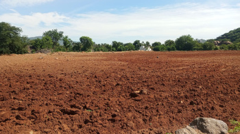 Agricultural Land for Sale in Palacode, Dharmapuri
