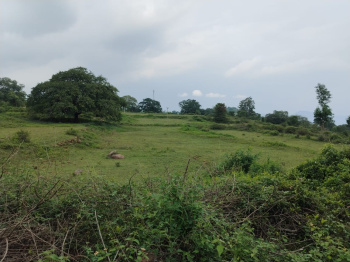  Agricultural Land for Sale in Pavagada, Tumkur