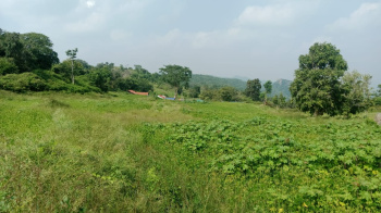  Agricultural Land for Sale in Denkanikottai, Krishnagiri