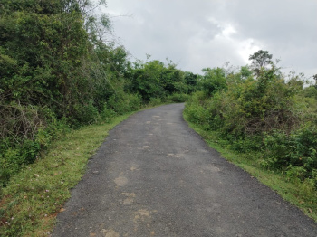  Agricultural Land for Sale in Denkanikottai, Krishnagiri