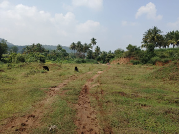  Agricultural Land for Sale in Denkanikottai, Krishnagiri