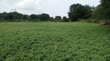  Agricultural Land for Sale in Palacode, Dharmapuri