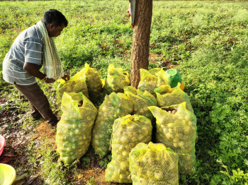  Agricultural Land for Sale in Pavagada, Tumkur