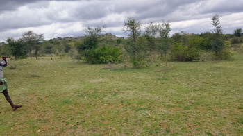 Agricultural Land for Sale in Pavagada, Tumkur