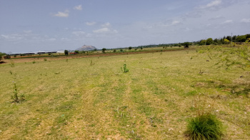  Agricultural Land for Sale in Veppanapalli, Krishnagiri