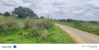  Agricultural Land for Sale in Uthangarai, Krishnagiri