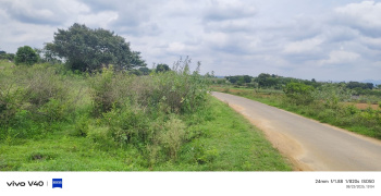  Agricultural Land for Sale in Uthangarai, Krishnagiri