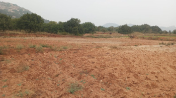  Agricultural Land for Sale in Veppanapalli, Krishnagiri