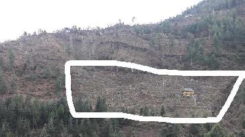  Agricultural Land for Sale in Aut, Mandi