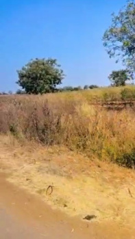  Agricultural Land for Sale in Lachapet, Kamareddy