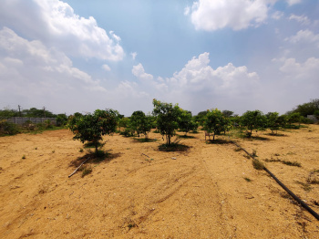  Agricultural Land for Sale in Shamirpet, Hyderabad