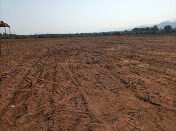  Agricultural Land for Sale in Golagamudi, Nellore
