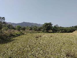  Agricultural Land for Sale in Revdanda, Alibag, Raigad