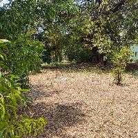  Agricultural Land for Sale in Agarsure, Alibag, Raigad