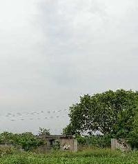  Agricultural Land for Sale in Friends Colony, Nagpur