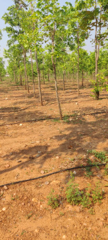  Residential Plot for Sale in Kambala Cheruvu, Rajahmundry