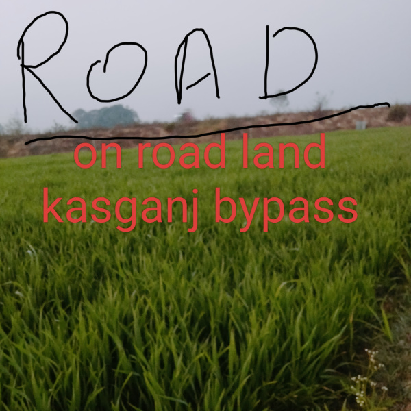  Residential Plot 1 Bigha for Sale in Kyampur Bhediya, Kasganj