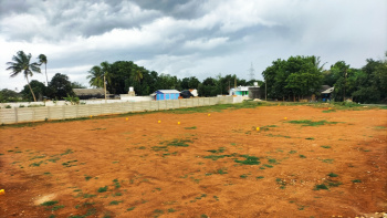  Residential Plot for Sale in Thirukanurpatti, Thanjavur