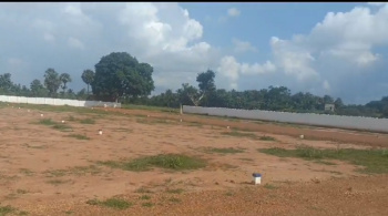  Residential Plot for Sale in Nanjikottai, Thanjavur